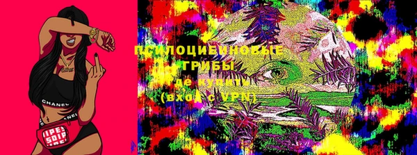 эйфоретик Покачи