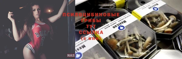 хмурый Дмитриев