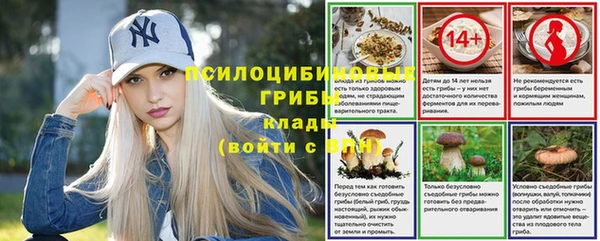 хмурый Дмитриев