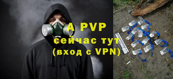 дживик Гусев