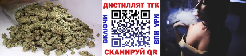 ТГК концентрат  Печоры 